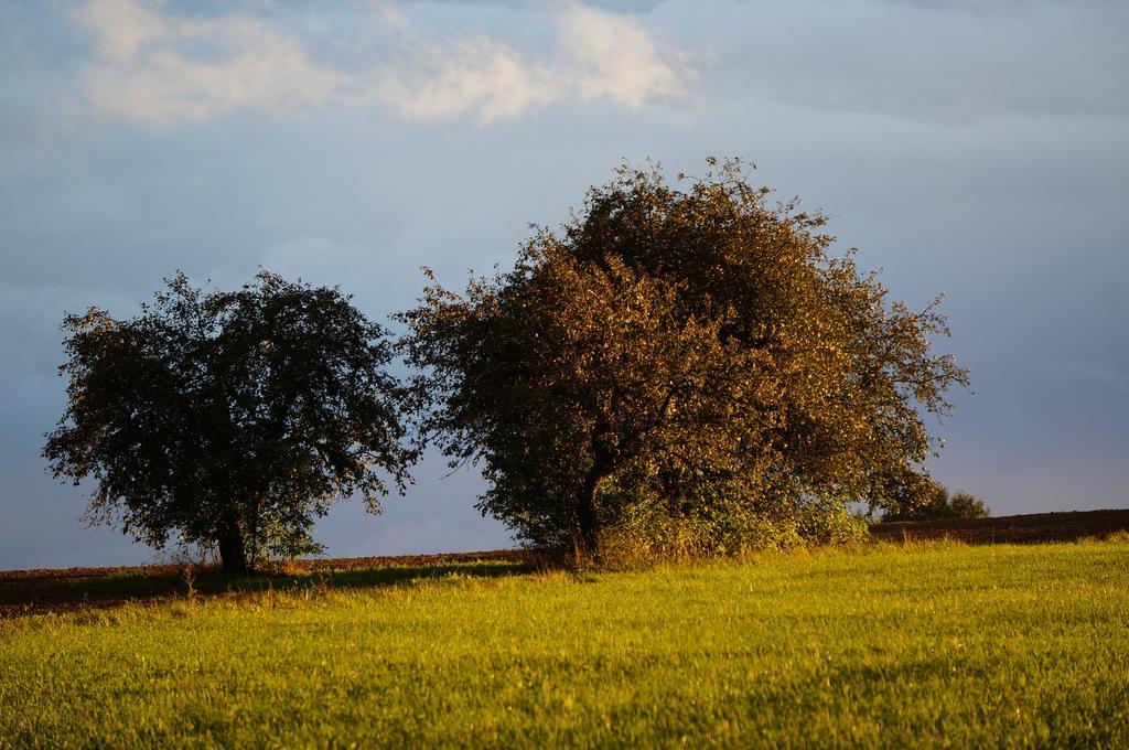 Przystanek Rospuda Villa Sucha Wies Esterno foto